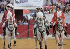 Imagens da corrida do Sobral de Monte Agraço